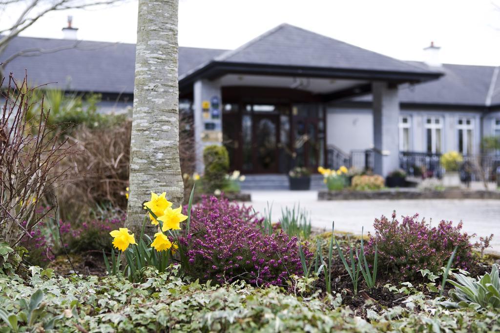 Fitzgeralds Woodlands House Hotel أدير المظهر الخارجي الصورة