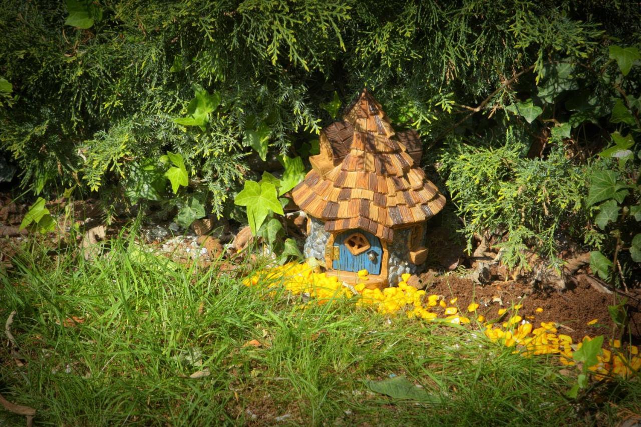 Fitzgeralds Woodlands House Hotel أدير المظهر الخارجي الصورة